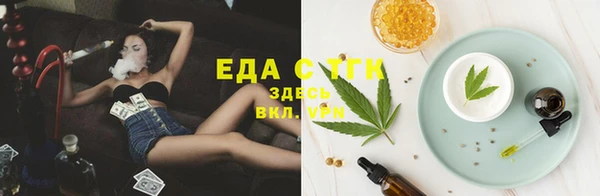 СК Алзамай