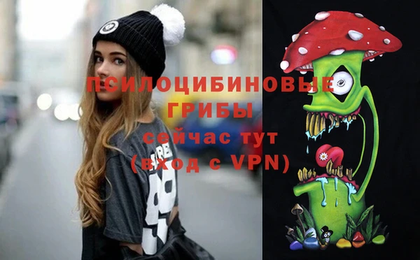 крисы Алексин