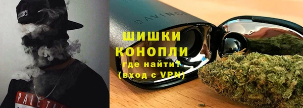 ПСИЛОЦИБИНОВЫЕ ГРИБЫ Арсеньев