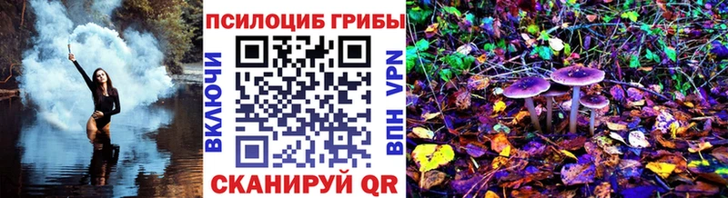 купить наркоту  Волгодонск  Галлюциногенные грибы ЛСД 