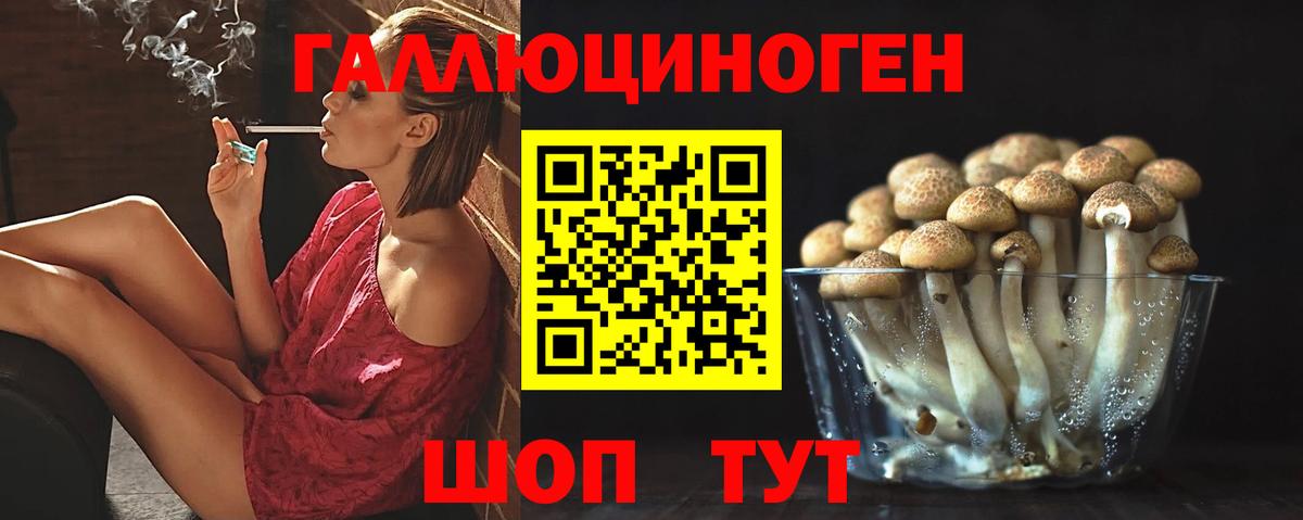 Галлюциногенные грибы ЛСД  Галлюциногенные грибы GOLDEN TEACHER  Волгодонск  Вход с VPN 